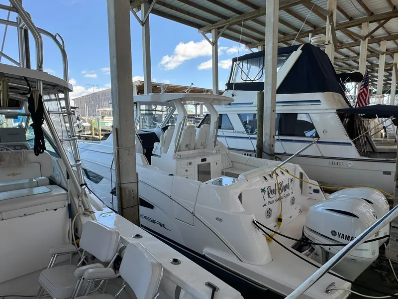 Slide: The Image of Regal 33 SAV 2020 - 5