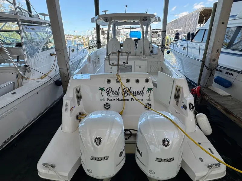 Slide: The Image of Regal 33 SAV 2020 - 6