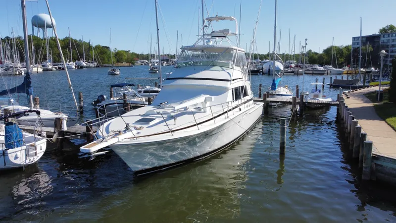 Slide: The Image of Bertram 54 Convertible 1986 - 1