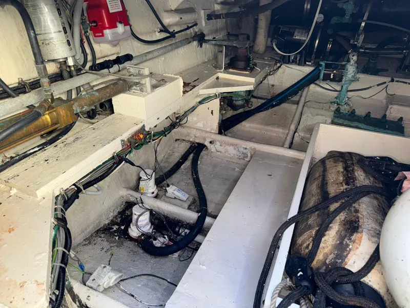 Slide: The Image of Bertram 54 Convertible 1986 - 123