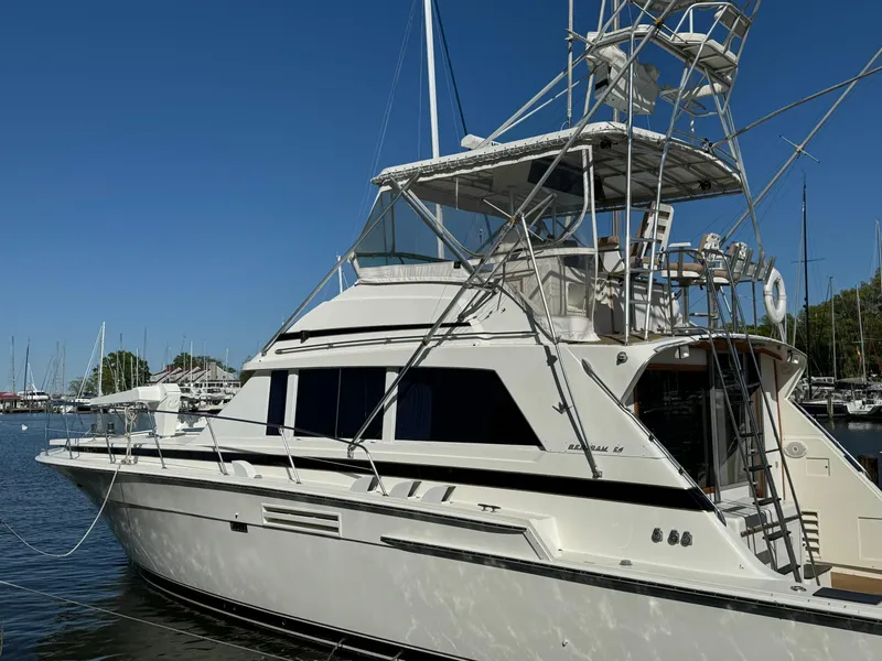 Slide: The Image of Bertram 54 Convertible 1986 - 17