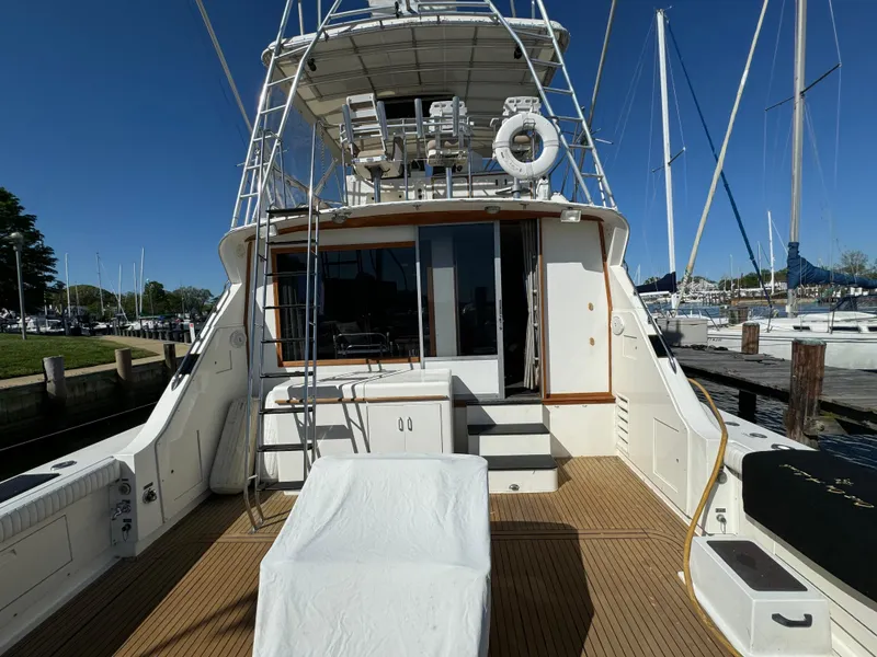 Slide: The Image of Bertram 54 Convertible 1986 - 71