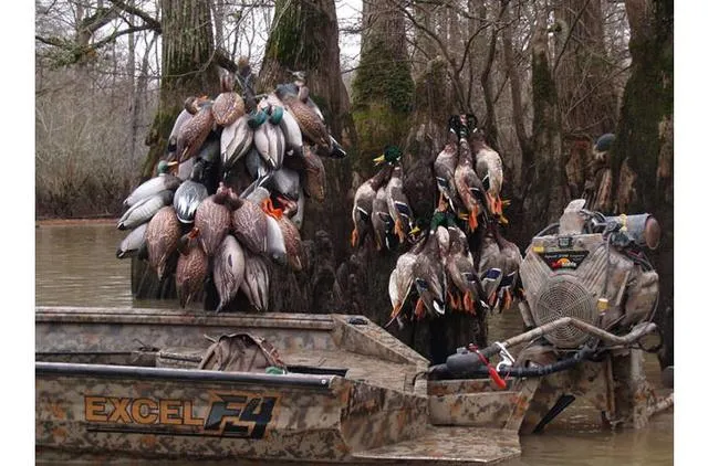 Slide: The Image of 2023 Excel Shallow Water F4 boat with ducks, in a wooded swamp area. - 22