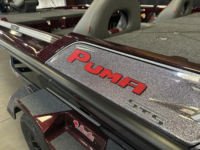 Slide: The Image of Bass Cat Puma STS W/Mercury 250 Pro Xs 2025 - 13