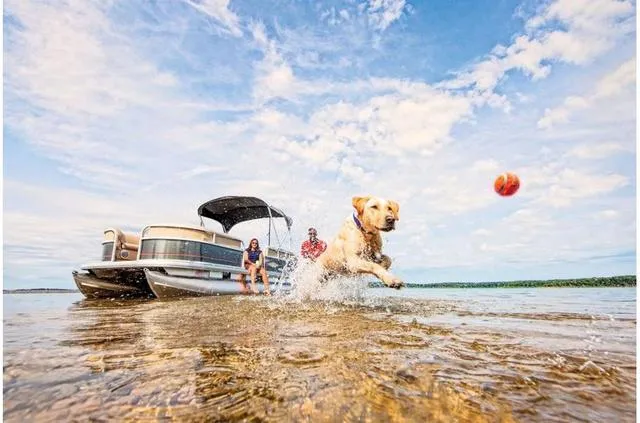 Slide: The Image of Dog playing fetch near 2019 Sun Tracker PARTY BARGE 18 DLX on a sunny day. - 28