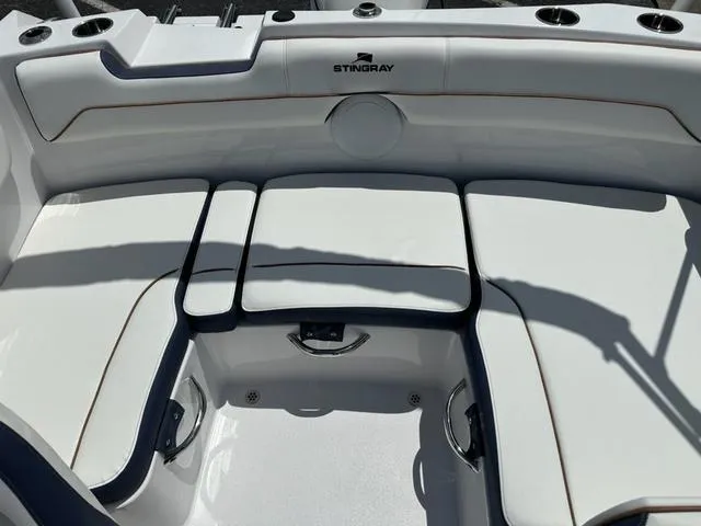 Slide: The Image of Stingray DC 172 2025 - 10