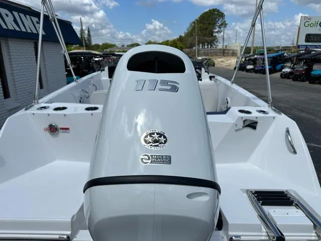 Slide: The Image of Stingray DC 172 2025 - 14