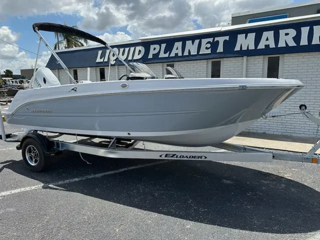 Slide: The Image of Stingray DC 172 2025 - 3