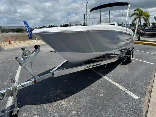 Slide: The Image of Stingray DC 172 2025 - 4