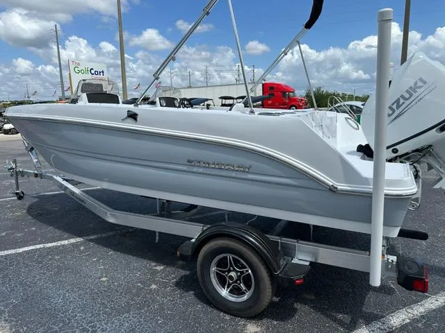 Slide: The Image of Stingray DC 172 2025 - 5