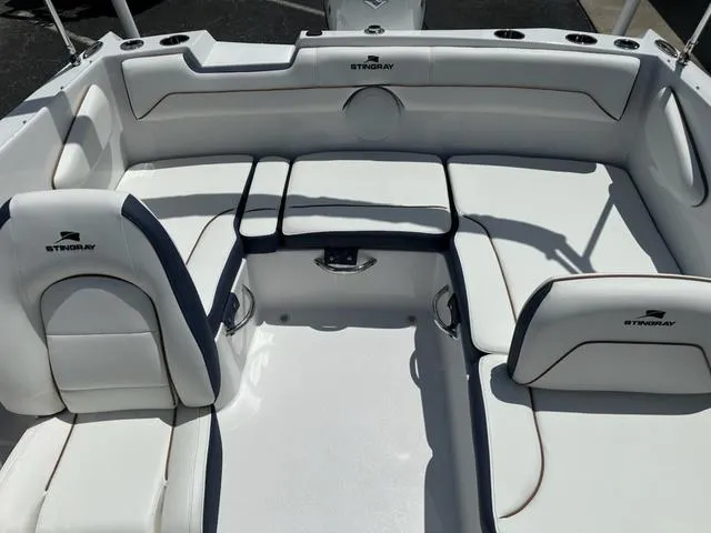 Slide: The Image of Stingray DC 172 2025 - 7