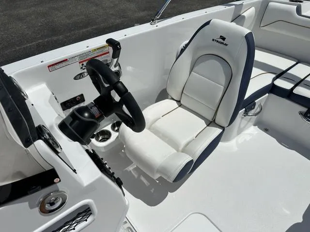 Slide: The Image of Stingray DC 172 2025 - 8