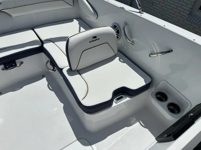 Slide: The Image of Stingray DC 172 2025 - 9