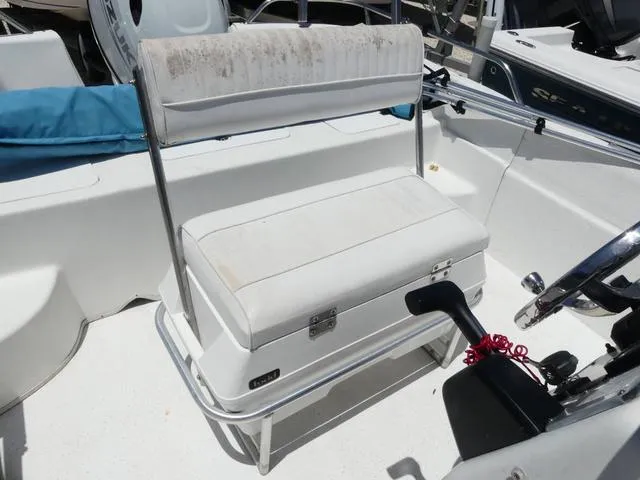 Slide: The Image of Carolina 198 DLV 2008 - 11