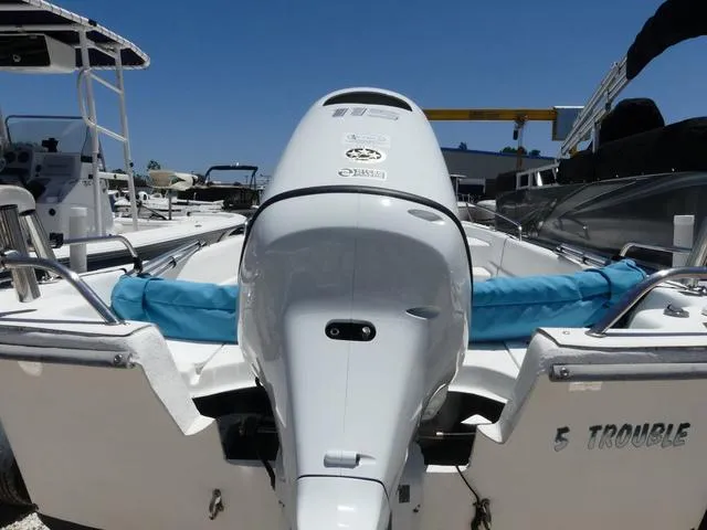 Slide: The Image of Carolina 198 DLV 2008 - 4