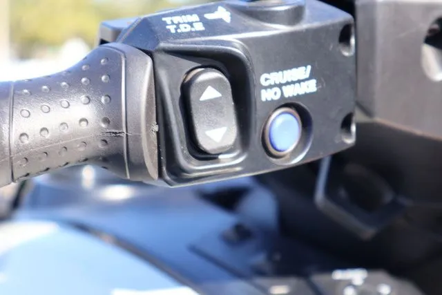 Slide: The Image of Yamaha FX Limited 2025 - 15