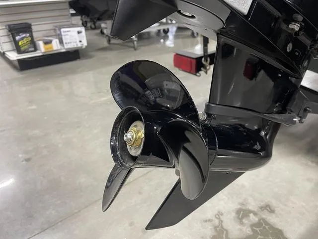 Slide: The Image of Tracker Bass Tracker Classic Limited 2025 - 6