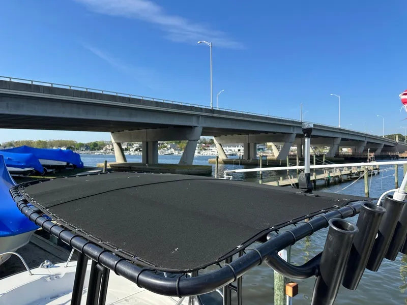 Slide: The Image of 2024 Boston Whaler 190 Montauk boat near a bridge on a sunny day. - 12