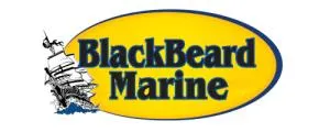 Slide: The Image of BlackBeard Marine logo with ship graphic, featuring Lowe SS 210 WT 2025 model. - 10