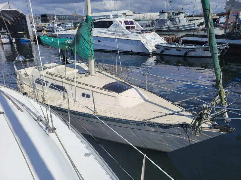 The Image of 1977 Islander 27 sailboat docked in marina, surrounded by other boats. - 1