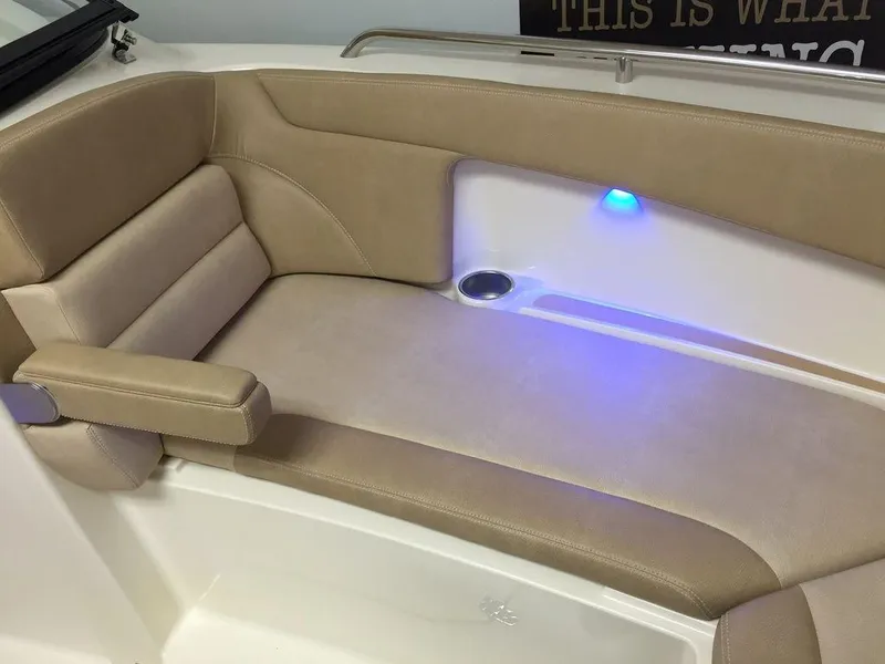 Slide: The Image of Scout 255 Dorado 2018 - 11