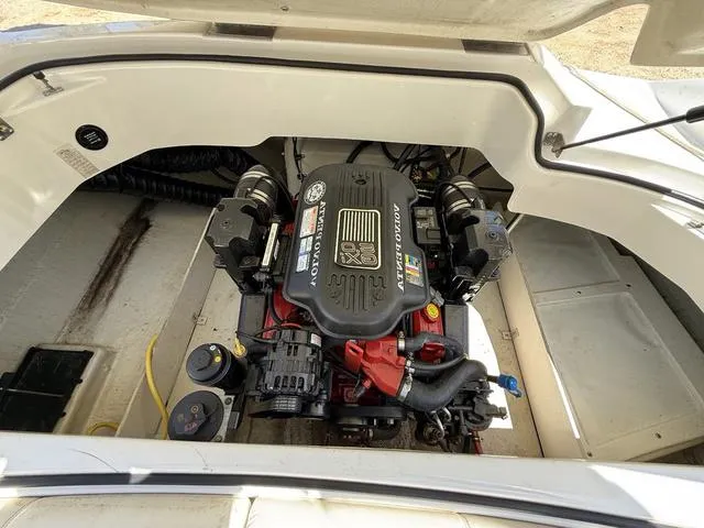 Slide: The Image of Cobalt 202 2008 - 13