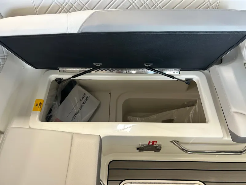 Slide: The Image of Sea Ray SDX 230 2026 - 10