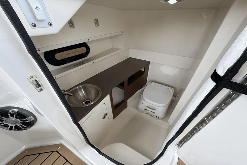 Slide: The Image of Sea Ray SDX 270 Outboard 2021 - 39