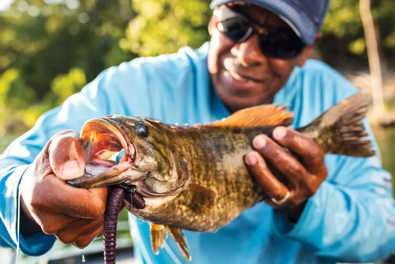 Slide: The Image of Manufacturer Provided Image - 55