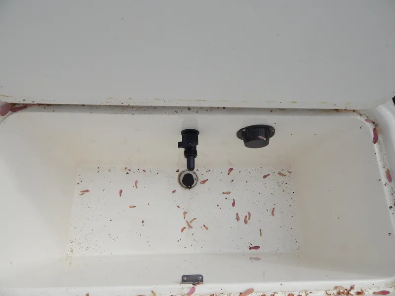 Slide: The Image of Bayliner Element E21 2021 - 30