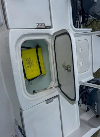 Slide: The Image of World Cat 235CC 2021 - 15