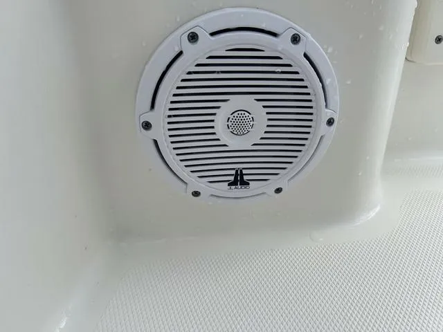 Slide: The Image of World Cat 235CC 2021 - 17