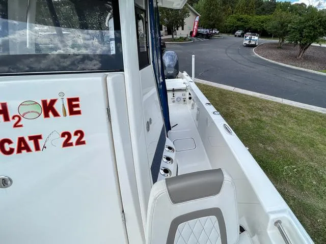 Slide: The Image of World Cat 235CC 2021 - 20