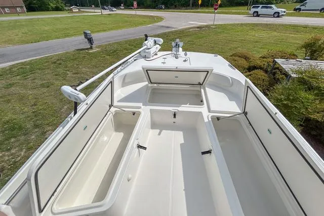 Slide: The Image of World Cat 235CC 2021 - 21