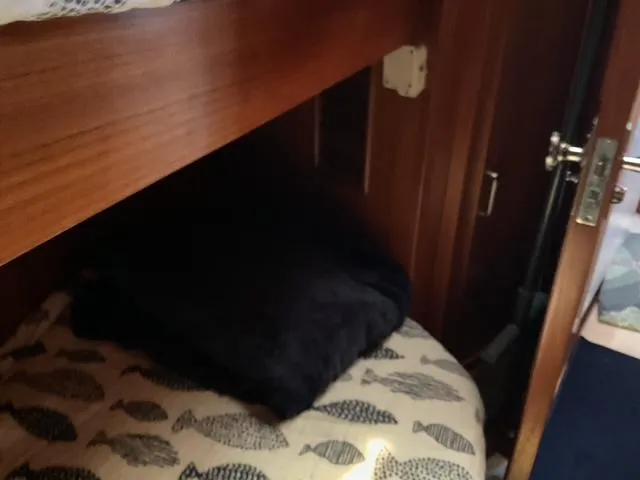 Slide: The Image of Cozy cabin interior of 1988 Jefferson 42 Sundeck with fish-patterned bedding. - 4