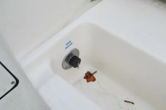Slide: The Image of Raw water outlet on 2023 Sea Born FX22 boat, with leaves in the compartment. - 17