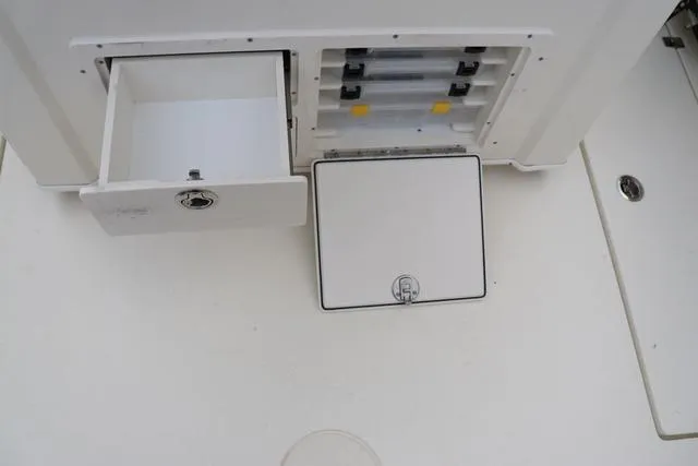 Slide: The Image of Cobia 301 CC 2024 - 28