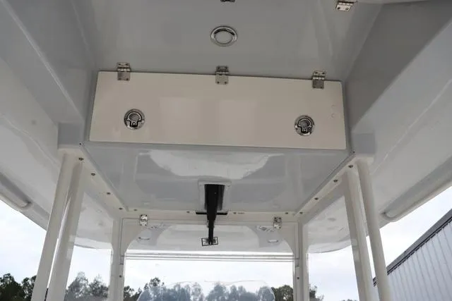 Slide: The Image of Cobia 301 CC 2024 - 30