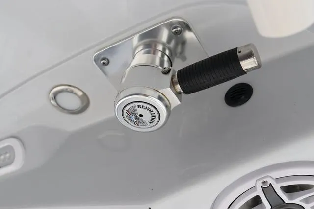 Slide: The Image of Cobia 301 CC 2024 - 31