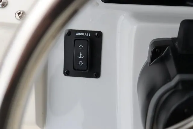 Slide: The Image of Cobia 301 CC 2024 - 35