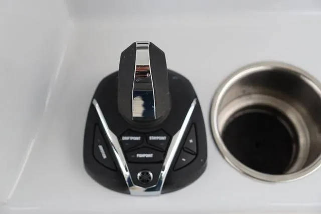 Slide: The Image of Cobia 301 CC 2024 - 36