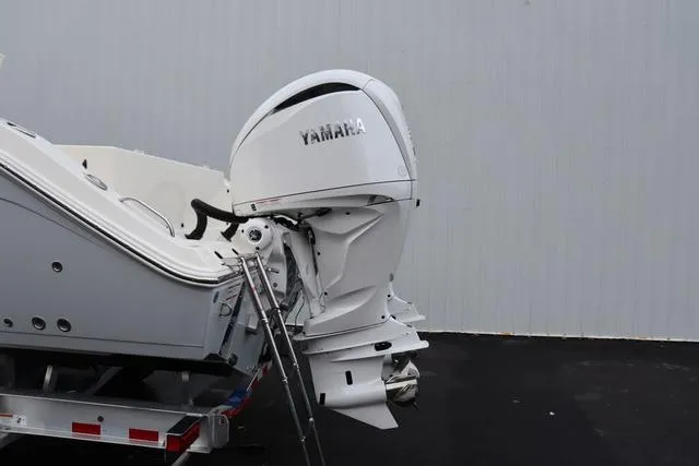 Slide: The Image of Cobia 301 CC 2024 - 4