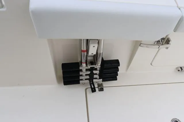 Slide: The Image of Cobia 301 CC 2024 - 40