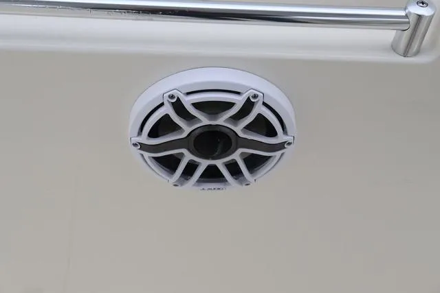 Slide: The Image of Cobia 301 CC 2024 - 41