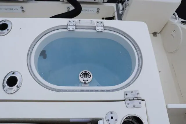 Slide: The Image of Cobia 301 CC 2024 - 53