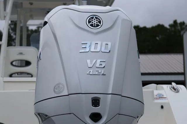 Slide: The Image of Cobia 301 CC 2024 - 7