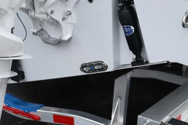 Slide: The Image of Cobia 301 CC 2024 - 8