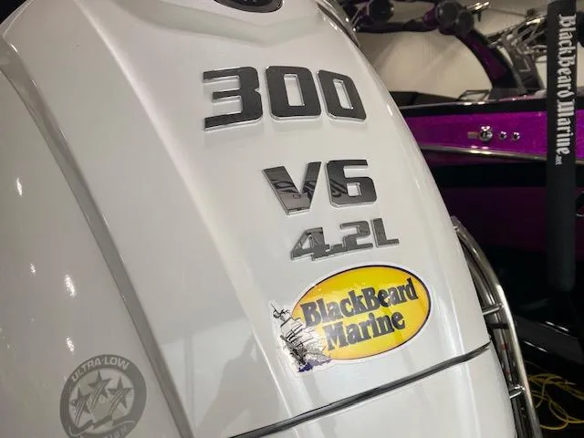 Slide: The Image of SunCatcher Elite 326 SS 2025 boat engine, 300 V6 4.2L, BlackBeard Marine sticker. - 4