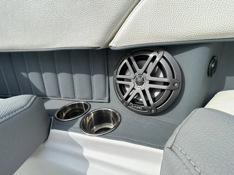 Slide: The Image of 2020 Cobalt - speaker - 23