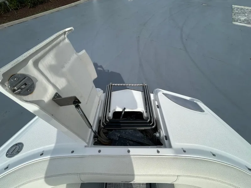 Slide: The Image of 2020 Cobalt - swim ladder - 28